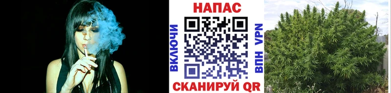 Купить закладки  Темников  Каннабис планчик 
